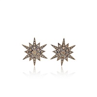 NO RESERVE | H. STERN COLORED DIAMOND EARRINGS